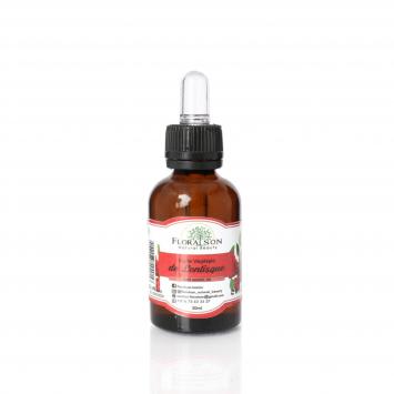 excellente pour les problèmes de circulation sanguine et lymphatique. Très utilisée pour les jambes lourdes et varices, elle est également efficace pour atténuer les cernes.